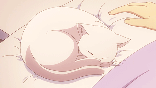 anime sleep 118