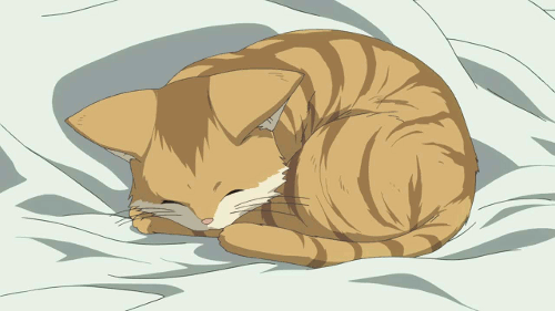 anime sleep 44