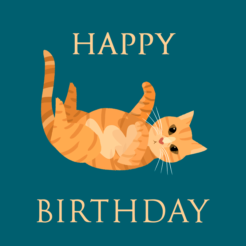 Happy Birthday Cat GIFs. 40 Animated Greeting Cards