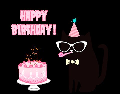 Happy Birthday Cat Gifs 40 Animated Greeting Cards