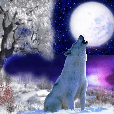 Shining stars, purple water, a full moon and a howling wolf during a snowy ...