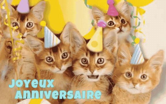 Joyeux Anniversaire Jennifer Joyeux-anniversaire-chat-24