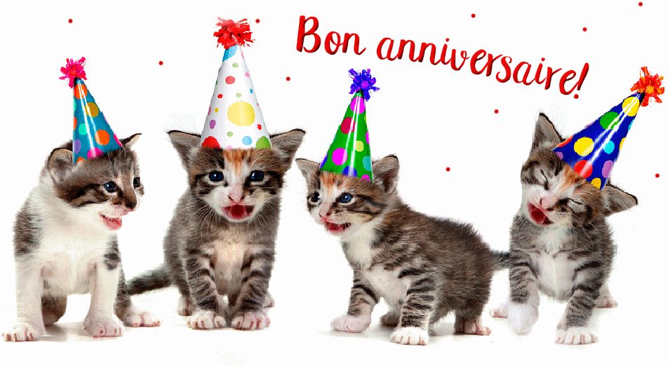 Joyeux anniversaire  chat GIFs 40 cartes de v ux anim es