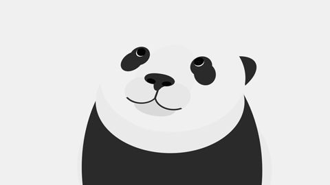 Panda, der sich umschaut