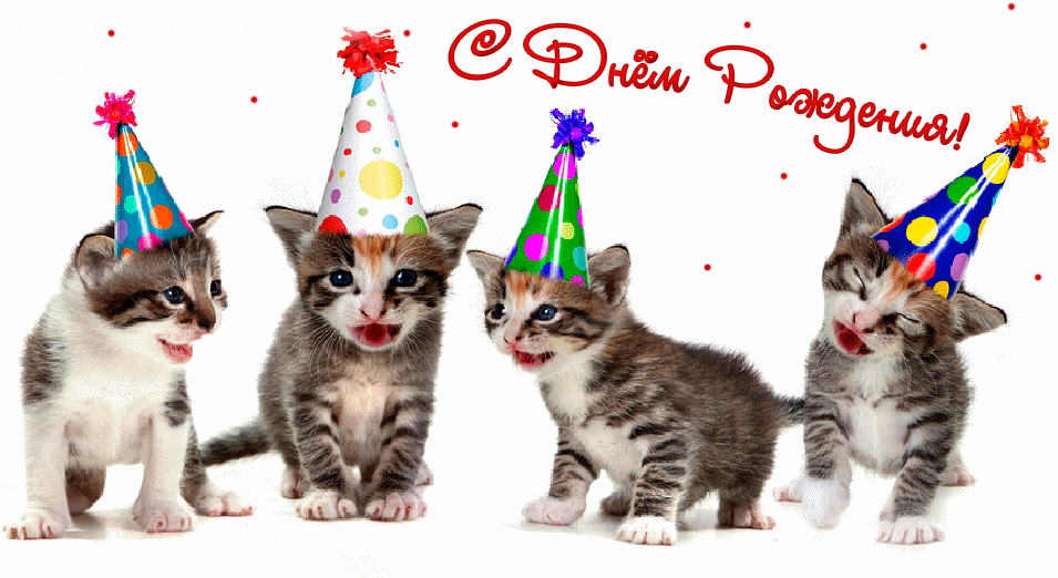 Гифки С днём рождения, кот. 40 анимированных открыток