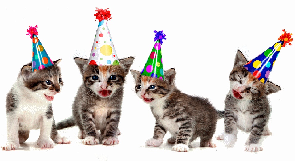 Le Gif Con Compleanno Di Gatto 40 Immagini Animate Gratuite
