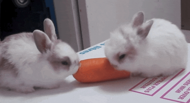 Gifs baby bunny Bugs Bunny