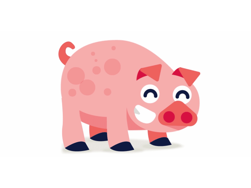 dancing pig 40