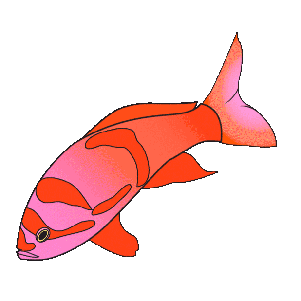 fish 109