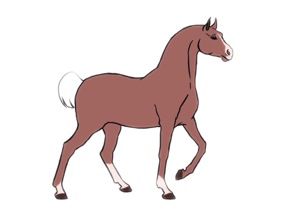 gif horse 106