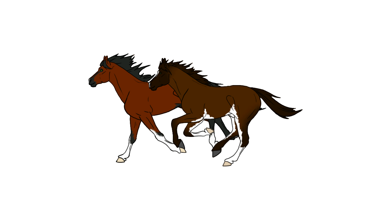 gif horse 108