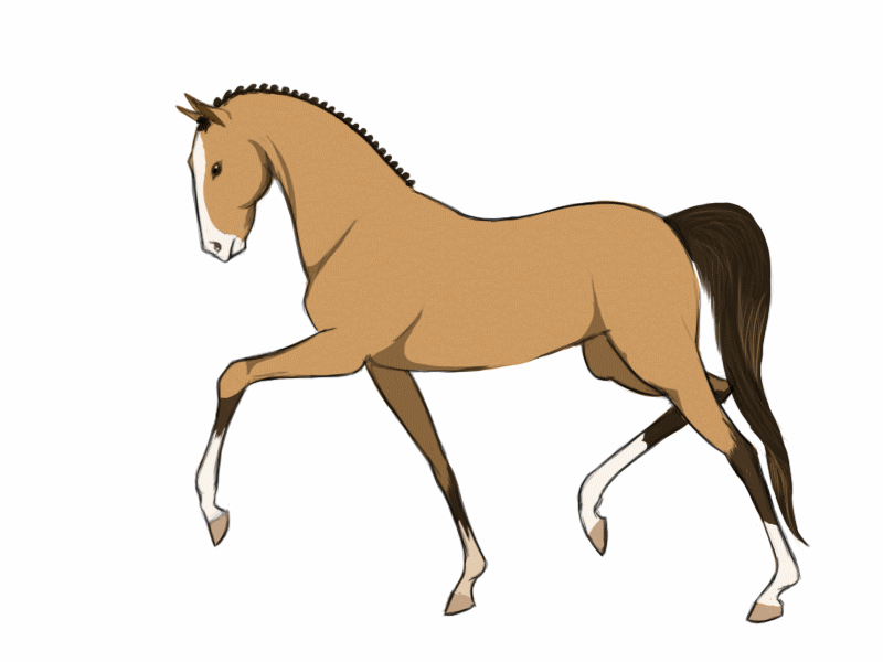 gif horse 116