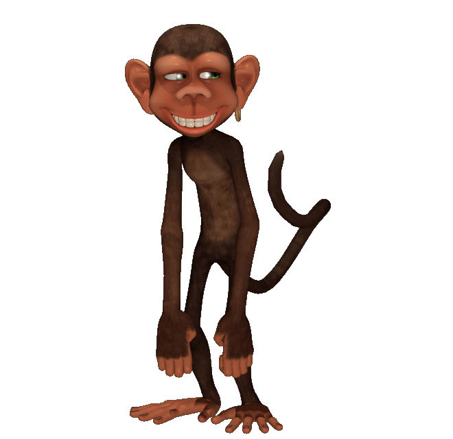 monkey 106