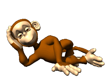 monkey 138