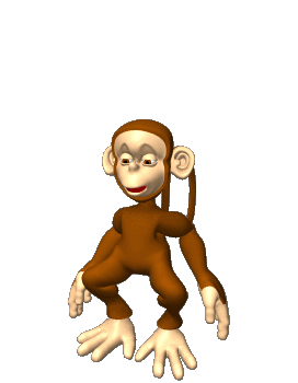 monkey 142