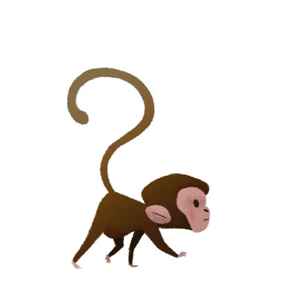 monkey 143