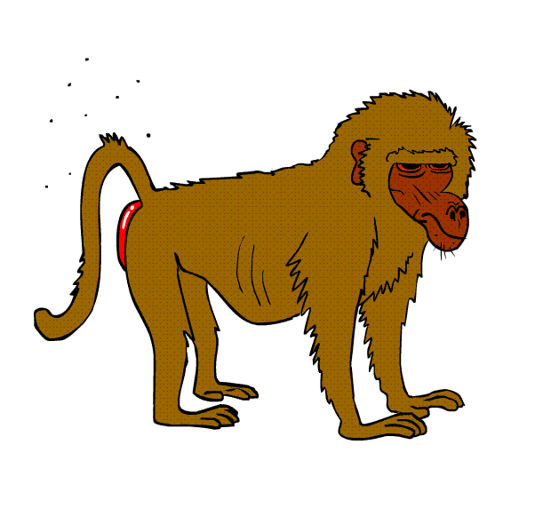 monkey 149