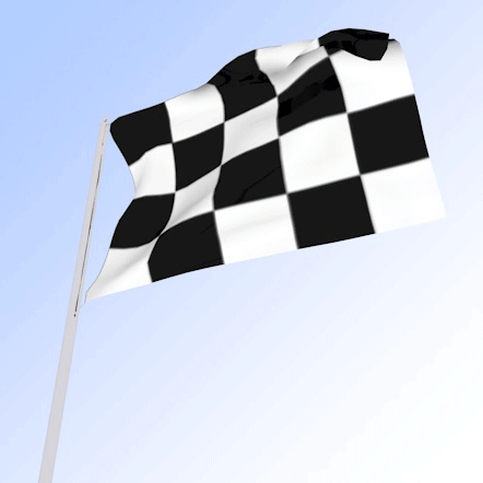 race-flag-3.gif