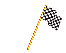 race-flag-6.gif