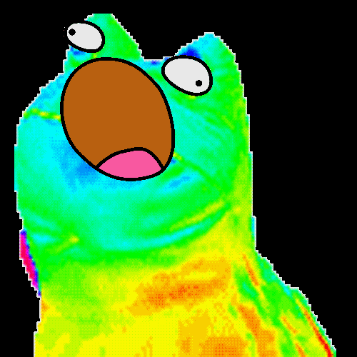 rainbow-frog-1.gif