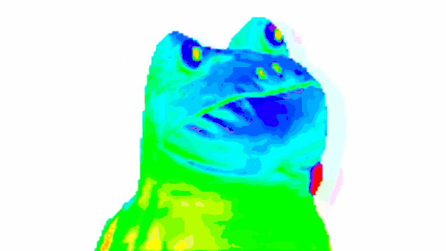 Rainbow Frog GIFs. Different Versions of This Meme on Animated Pics