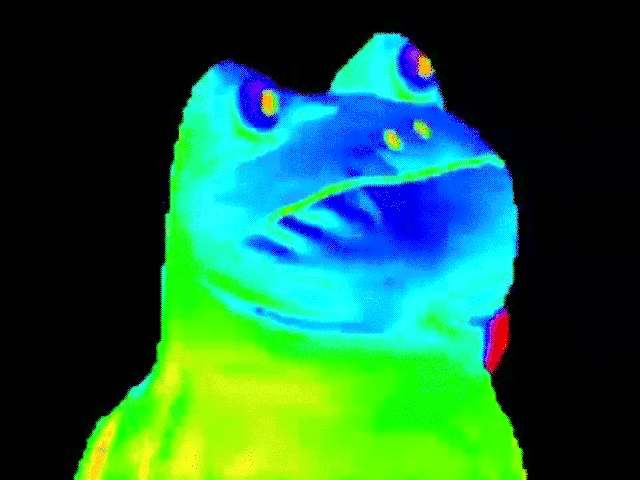 Rainbow Frog Gifs Different Versions Of This Meme On Animated Pics