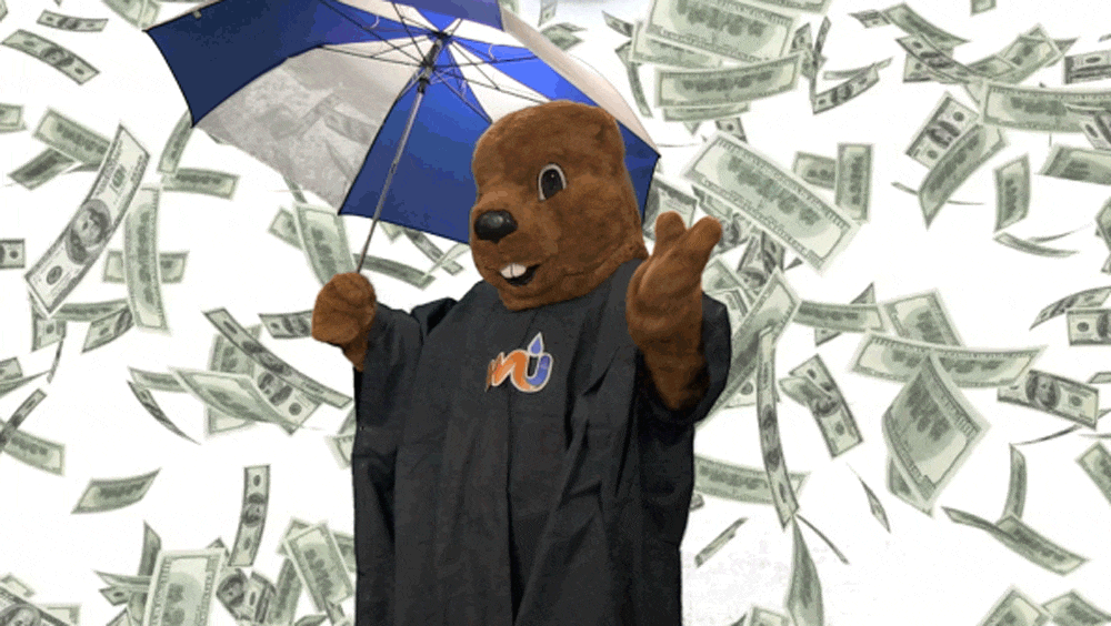 raining money 3