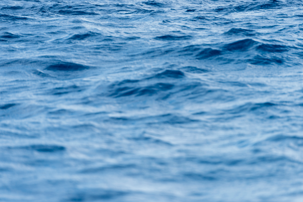 water 24