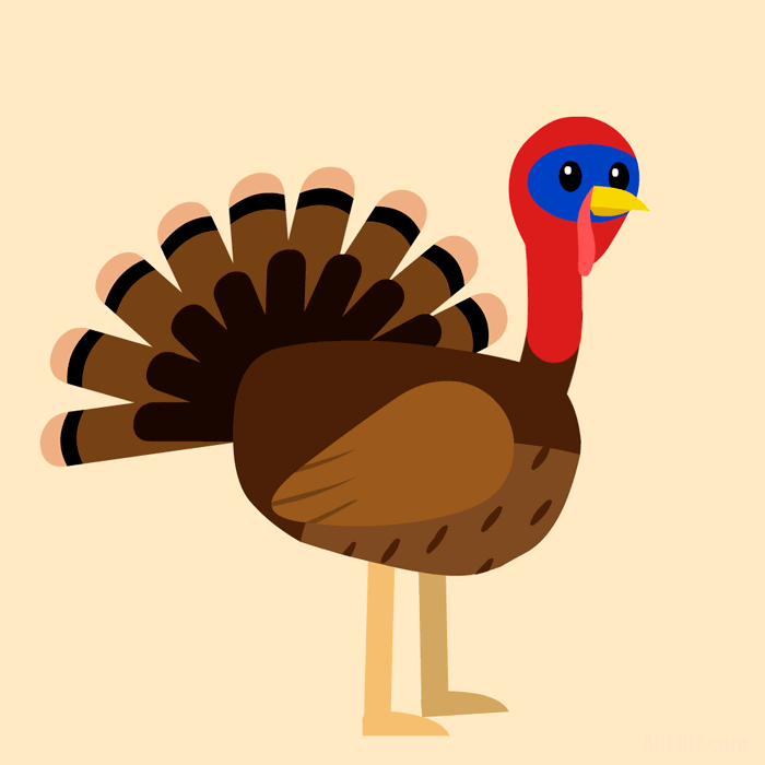 turkey-16.gif