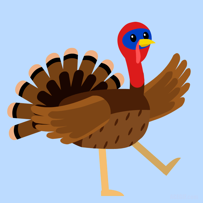turkey 24