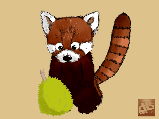 red-panda-42