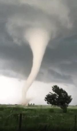 11-tornado-and-tree