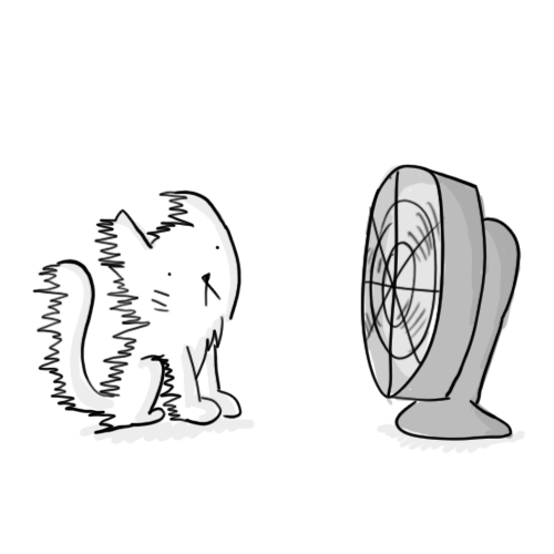 fan-gif-87-funny-cat-and-ventilator