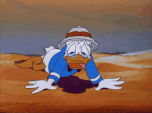 hot-weather-34-duck-in-desert