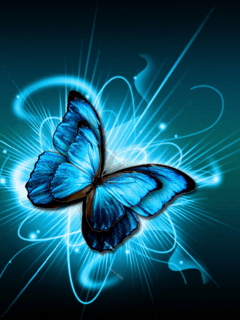 GIF Animation de Beaux Papillons - 120 images animées