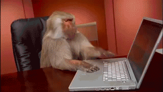 Гифки Кот печатает на клавиатуре, набирает сообщение (25 GIF)