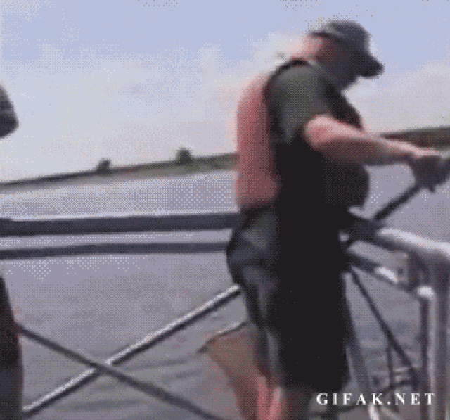 Funny GIFs about fishing, 73 pieces.