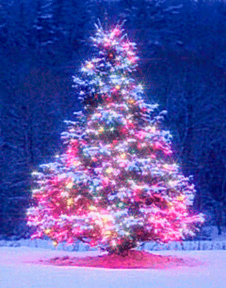 Sat 4 Dec 2021 - 16:23.MichaelManaloLazo. Gif-christmas-tree-25