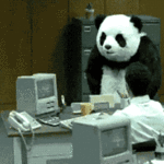 Funny GIFs About Work - 65 Pieces of Cool GIF Animations