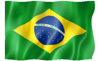 brazilian-flag-12