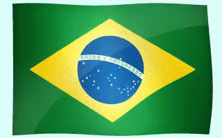 brazilian-flag-22