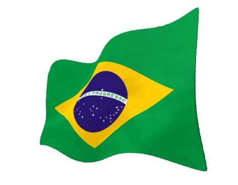 brazilian-flag-23