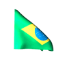 brazilian-flag-24