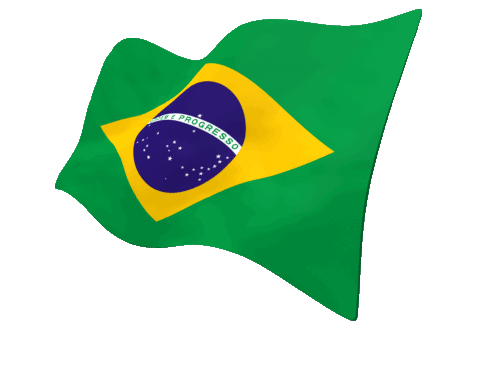 brazilian-flag-25