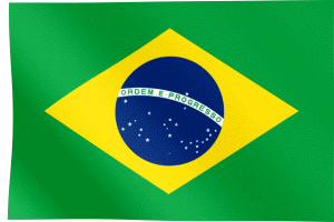 brazilian-flag-26
