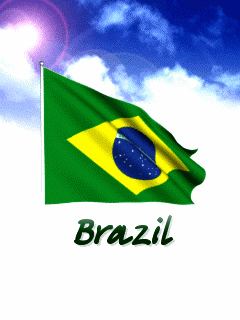 brazilian-flag-31