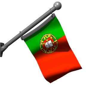 portuguese-flag-11