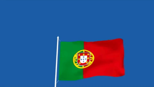 portuguese-flag-18
