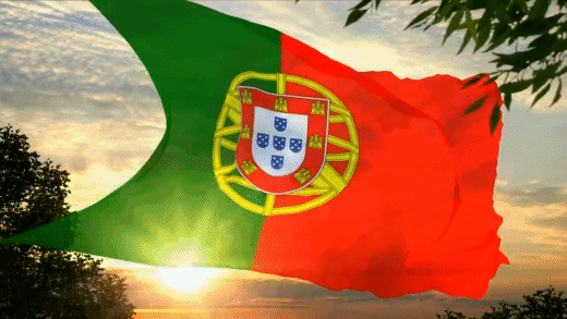 portuguese-flag-6