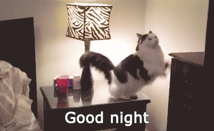 Good Night Gifs 130 Animated Goodnight Wishes For Anyone